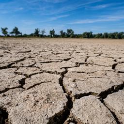 Aufgerissen und ausgetrocknet ist eine Sandbank an der Niedrigwasser führenden Donau in Mariaposching (Bayern) zu sehen.