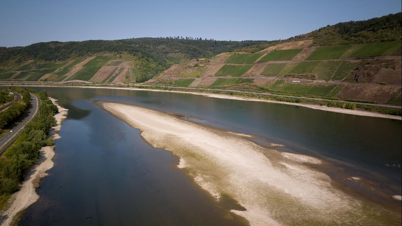 Wirtschaftsexperte: "Niedrigwasser ist ein Kostentreiber"