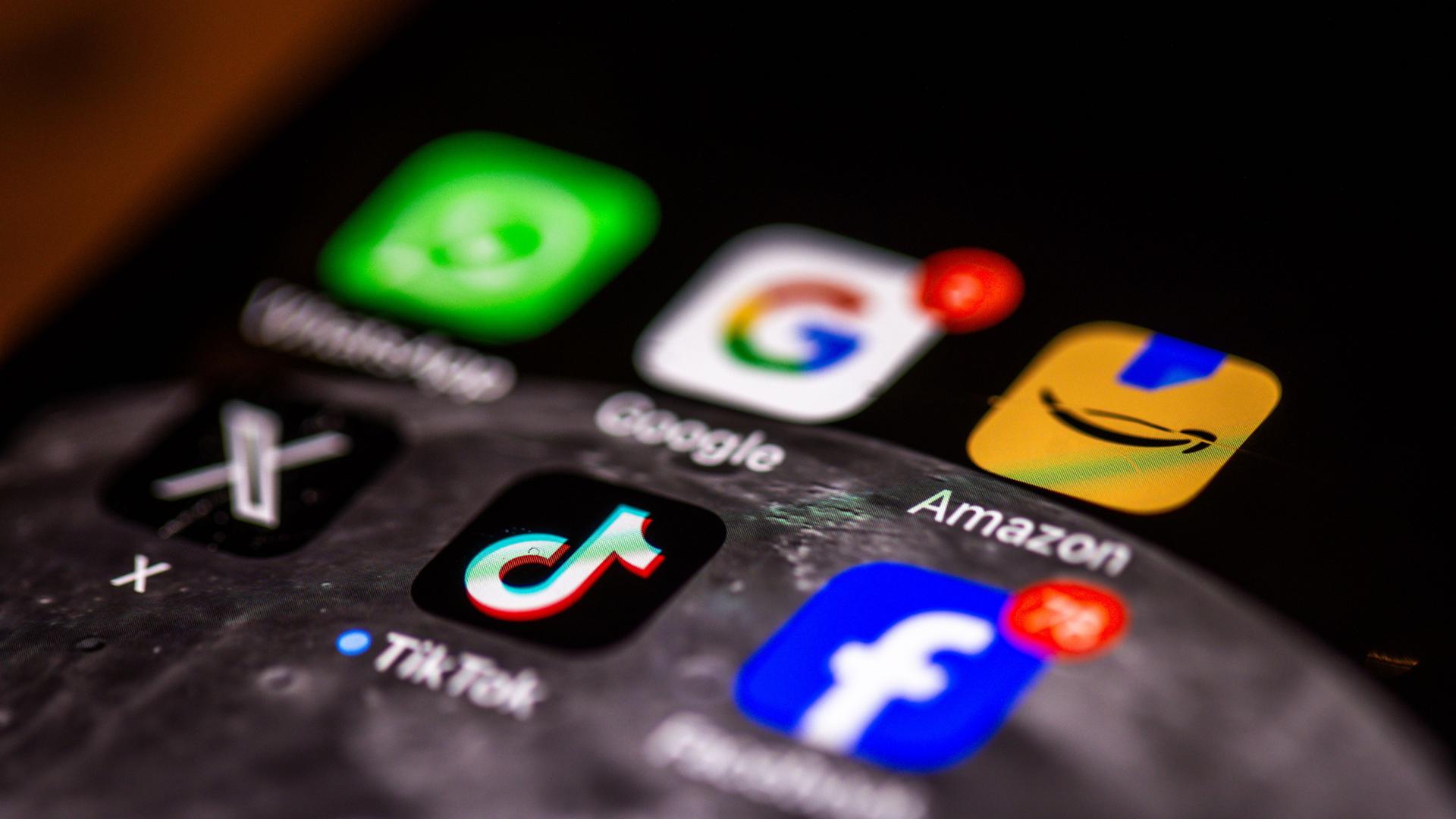 Ein Handydisplay, das verschiedene Applikationen wie TikTok oder Google zeigt | Jens B�ttner/dpa