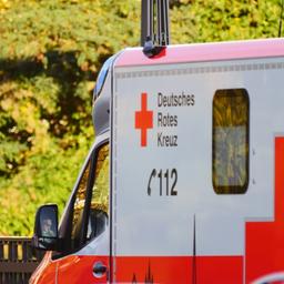 Ein Krankenwagen vor bunten Bäumen.