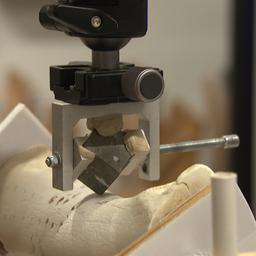 Ein Knochen wird mit einem Steinwerkzeug geritzt.