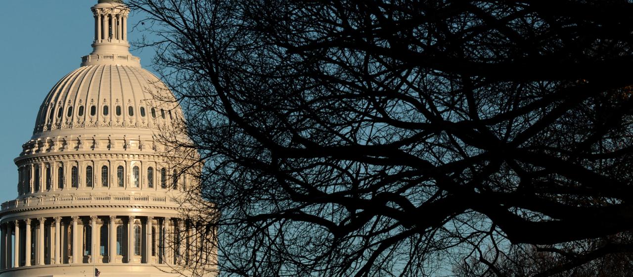 Das Capitol in Washington ist durch die Äste eines Baumes zu sehen.