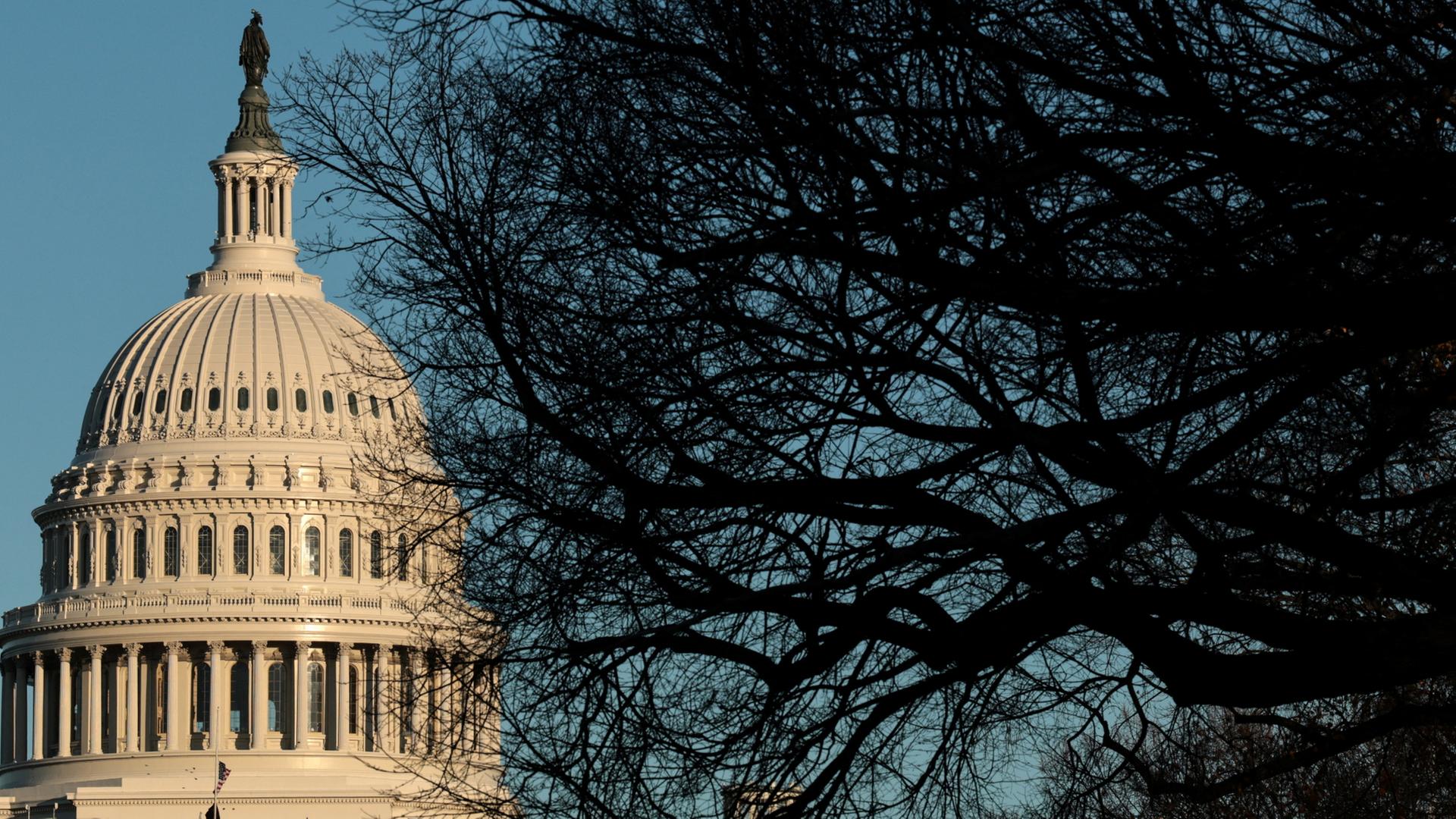 Das Capitol in Washington ist durch die Äste eines Baumes zu sehen. | REUTERS