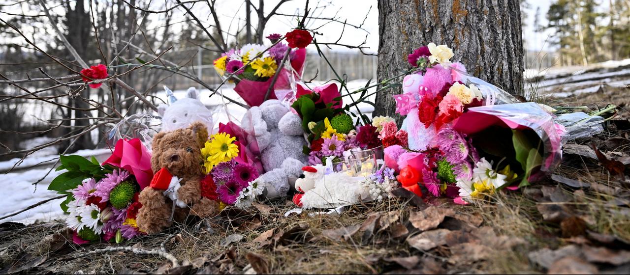 Menschen haben Blumen und Kuscheltieren im kanadischen Tumbler Ridge abgelegt.