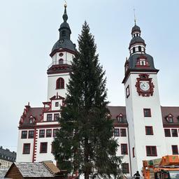 Zwischen den zwei Türmen des alten Rathauses von Chemnitz ragt der diesjährige Weihnachtsbaum in die Höhe. Daneben sind schon einige Weihnachtsmarktbuden aufgebaut, die aber noch geschlossen sind. 
