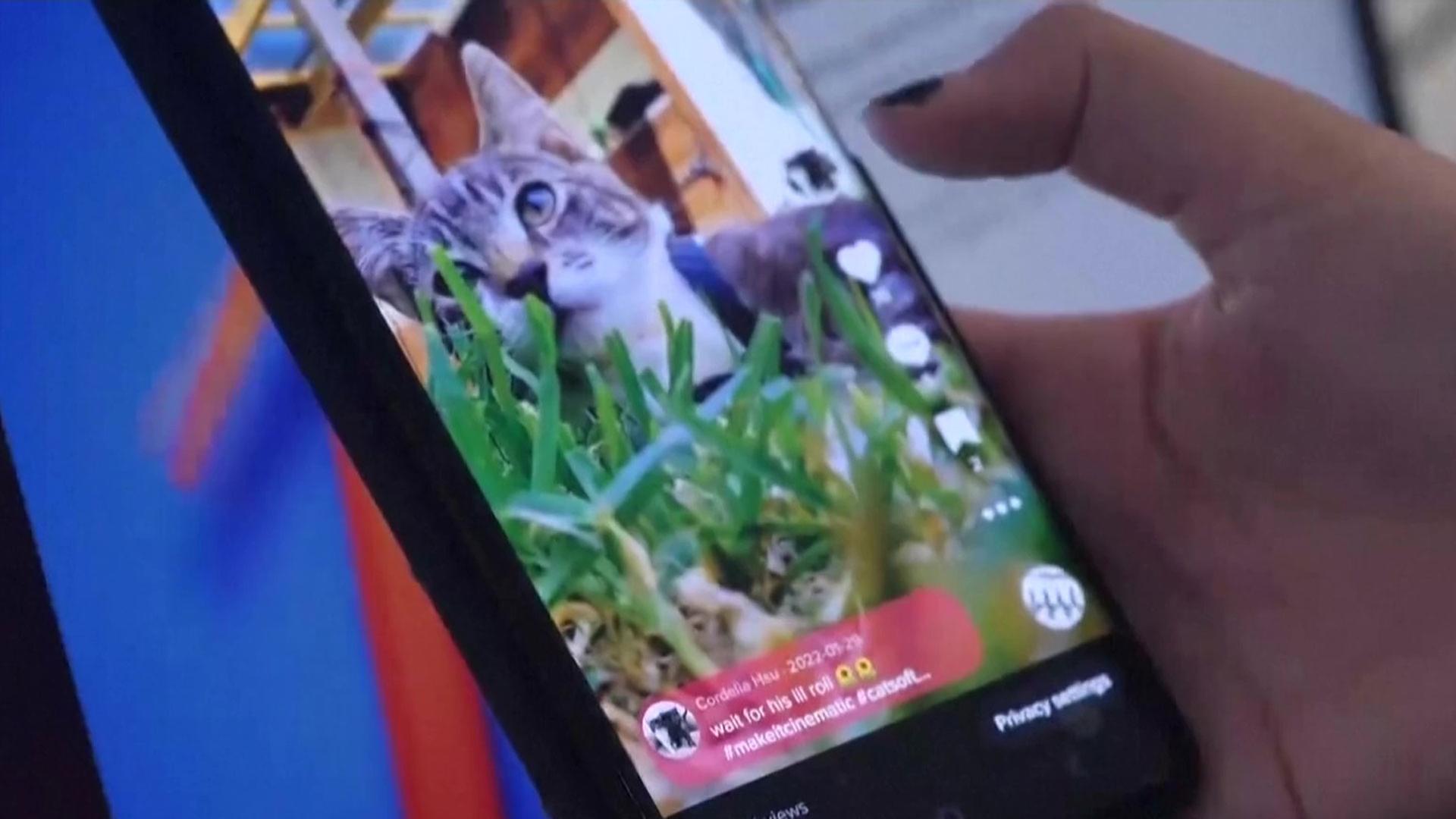 Sendungsbild | ARD-aktuell