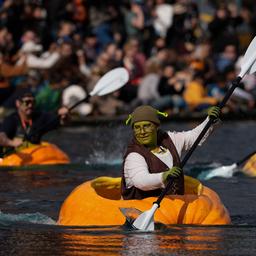 Menschen treten verkleidet bei der West Coast Giant Pumpkin Regatta in Tualatin (Oregon) in riesigen Kürbissen gegeneinander an. 