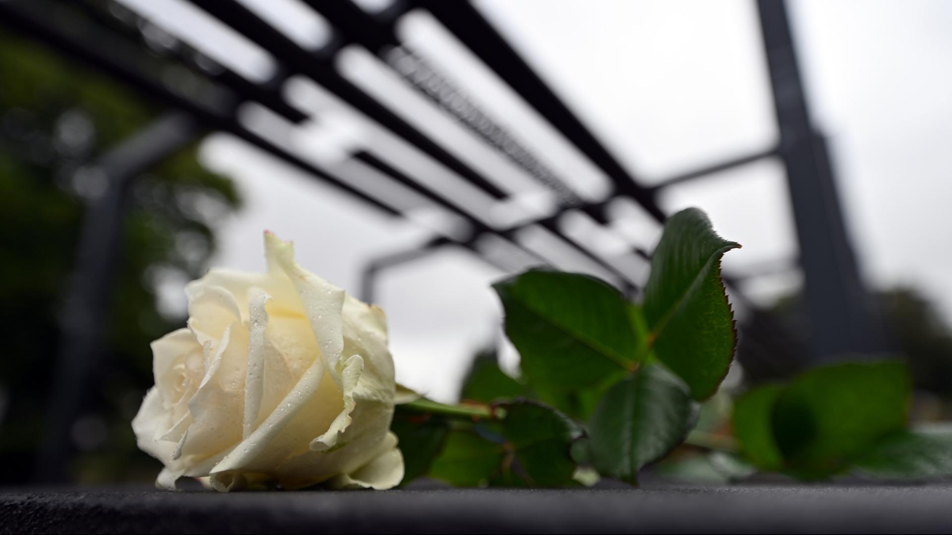Eine weißen Rose  für die Opfer des NSU  liegt am Erinnerungsort in Erfurt | dpa