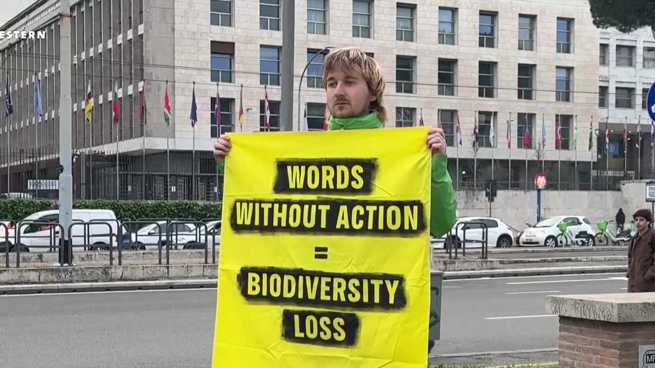 COP16 Klimakonferenz berät in Rom Artenschutzabkommen