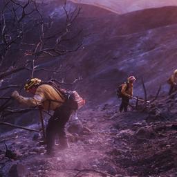 Einsatzkräfte der Feuerwehr suchen nahe Los Angeles in abgebrannten Hügeln nach Glutnestern.