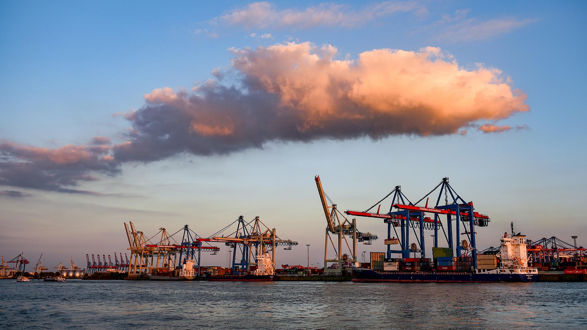 Containerschiffe werden im Hamburger Hafen im Licht der untergehenden Sonne abgefertigt.  | picture alliance/dpa