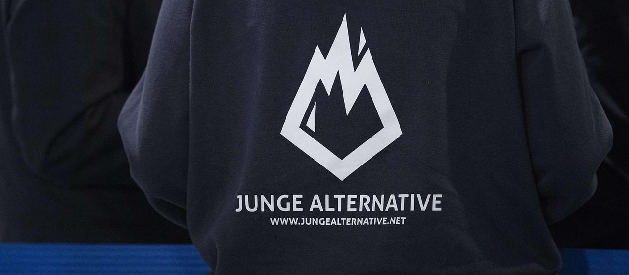 Pullover Junge Alternative