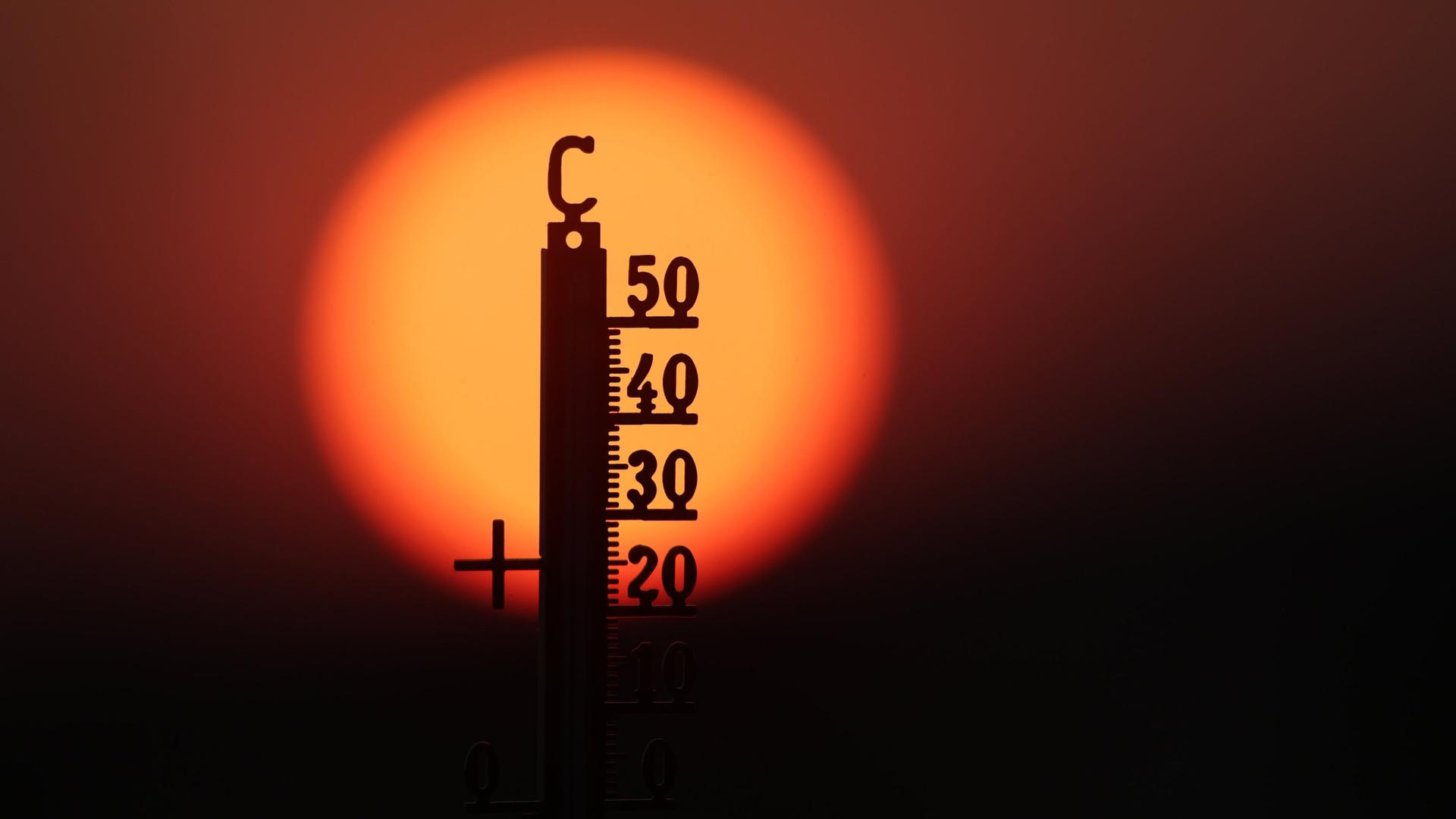 Schon viermal so viele Hitzetote wie im Vorjahr