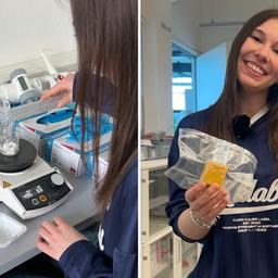 Timea Probost. Veganer Käse