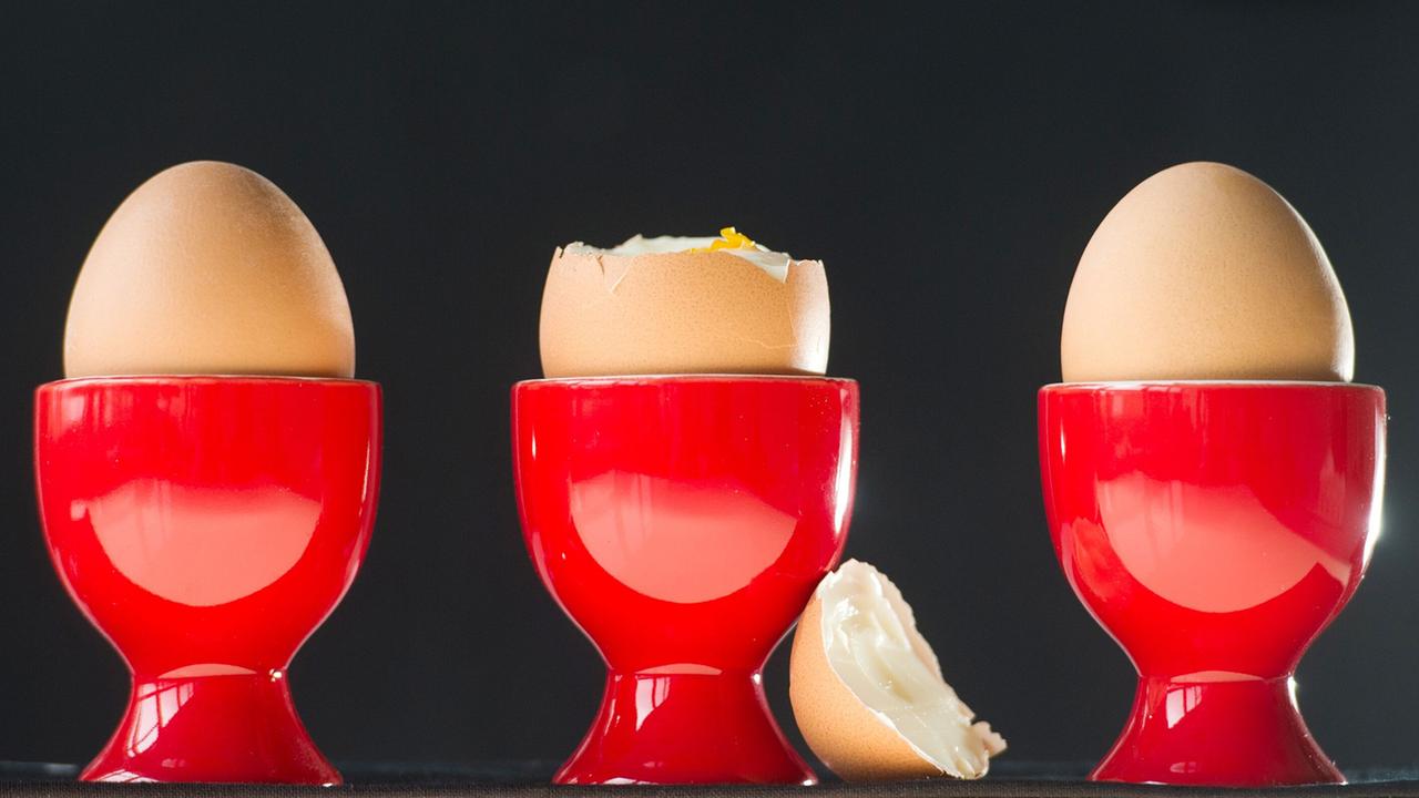 Mythen um den Eierkonsum | tagesschau.de