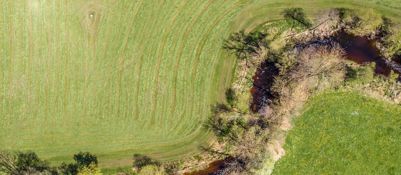Luftaufnahme eines Baches neben einem Feld