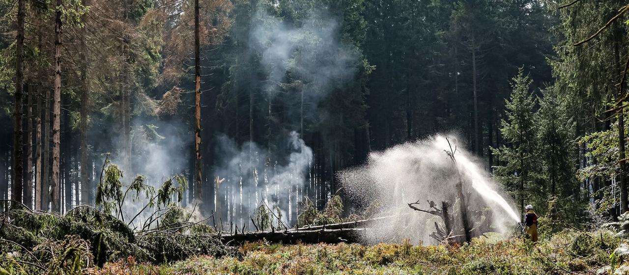 Feuerwehrleute befeuchten den Boden an Brandstellen im Naturschutzgebiet Hohes Venn