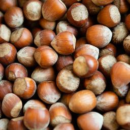 Haselnüsse