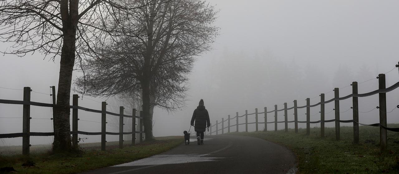Eine Frau läuft im Nebel mit ihrem Hund spazieren.
