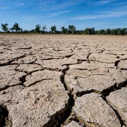 Aufgerissen und ausgetrocknet ist eine Sandbank an der Niedrigwasser führenden Donau in Mariaposching (Bayern).