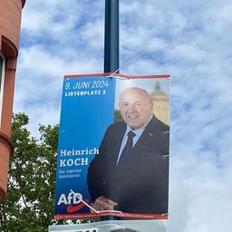 An einem Laternenpahl hängt ein Wahlplakat der AfD Mannheim