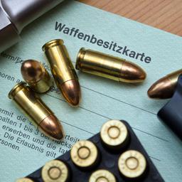 Eine Kaliber 9 mm Pistole, Patronen und ein Magazin liegen auf einer Waffenbesitzkarte.