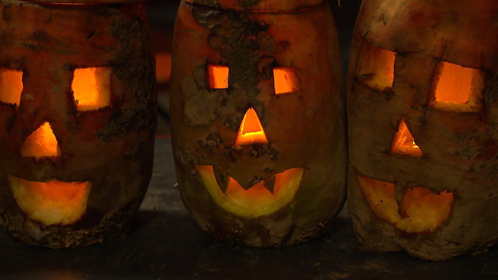 Schwäbische Tradition statt US-Trend Halloween: Dornstadt feiert Rübengeister