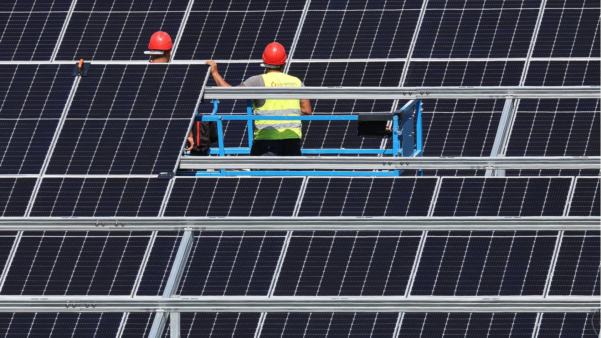 Mitarbeiter einer Montagefirma montieren Solarmodule in einem Solarpark. | picture alliance/dpa