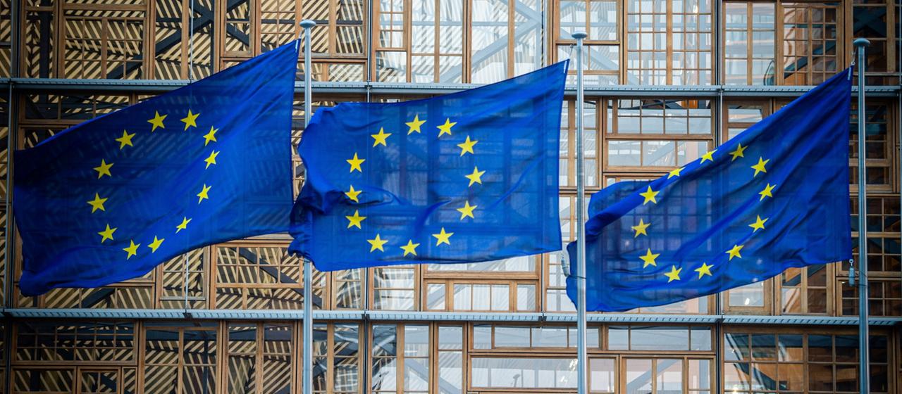 Flaggen der Europäischen Union wehen im Wind vor dem Europa-Gebäude (Archivbild). | dpa Flaggen der Europäischen Union wehen im Wind vor dem Europa-Gebäude (Archivbild).