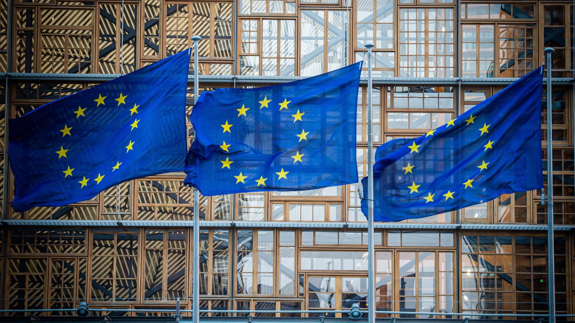Flaggen der Europäischen Union wehen im Wind vor dem Europa-Gebäude (Archivbild).  | dpa