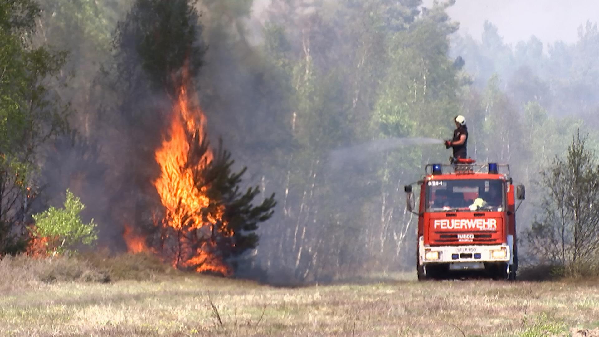Der Waldbrand bei Jüterbog breitet sich immer weiter aus (Quelle: rbb) | Der Waldbrand bei Jüterbog breitet sich immer weiter aus (Quelle: rbb)
