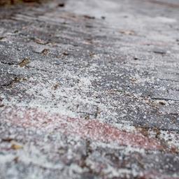 Symbolbild: Streusalz liegt am 23.01.2026 auf einem Gehweg im Stadtzentrum. Blitzeis hat im Nordwesten für glatte Straßen und Wege gesorgt. (Quelle: dpa-Bildfunk/Hauke-Christian Dittrich)