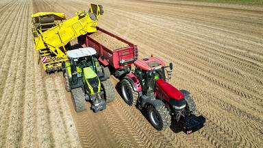 Landmaschinen ernten Kartoffeln auf einem Feld.
