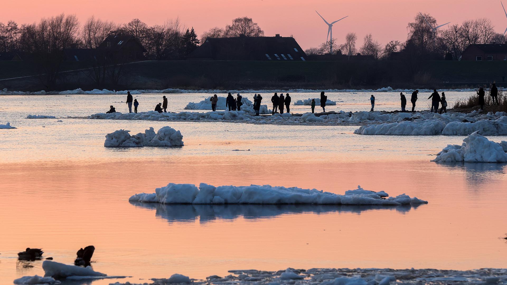 Eisschollen schwimmen bei Geesthacht auf der Elbe. | dpa