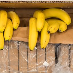 Audio: rbb 88.8 | 24.06.2025 | Natascha Gutschmidt  | picture alliance/dpa/P.Kneffel Symbolbild: Päckchen zu je einem Kilo mit Kokain und Bananen in einer Bananenkiste.(Quelle:picture alliance/dpa/P.Kneffel)