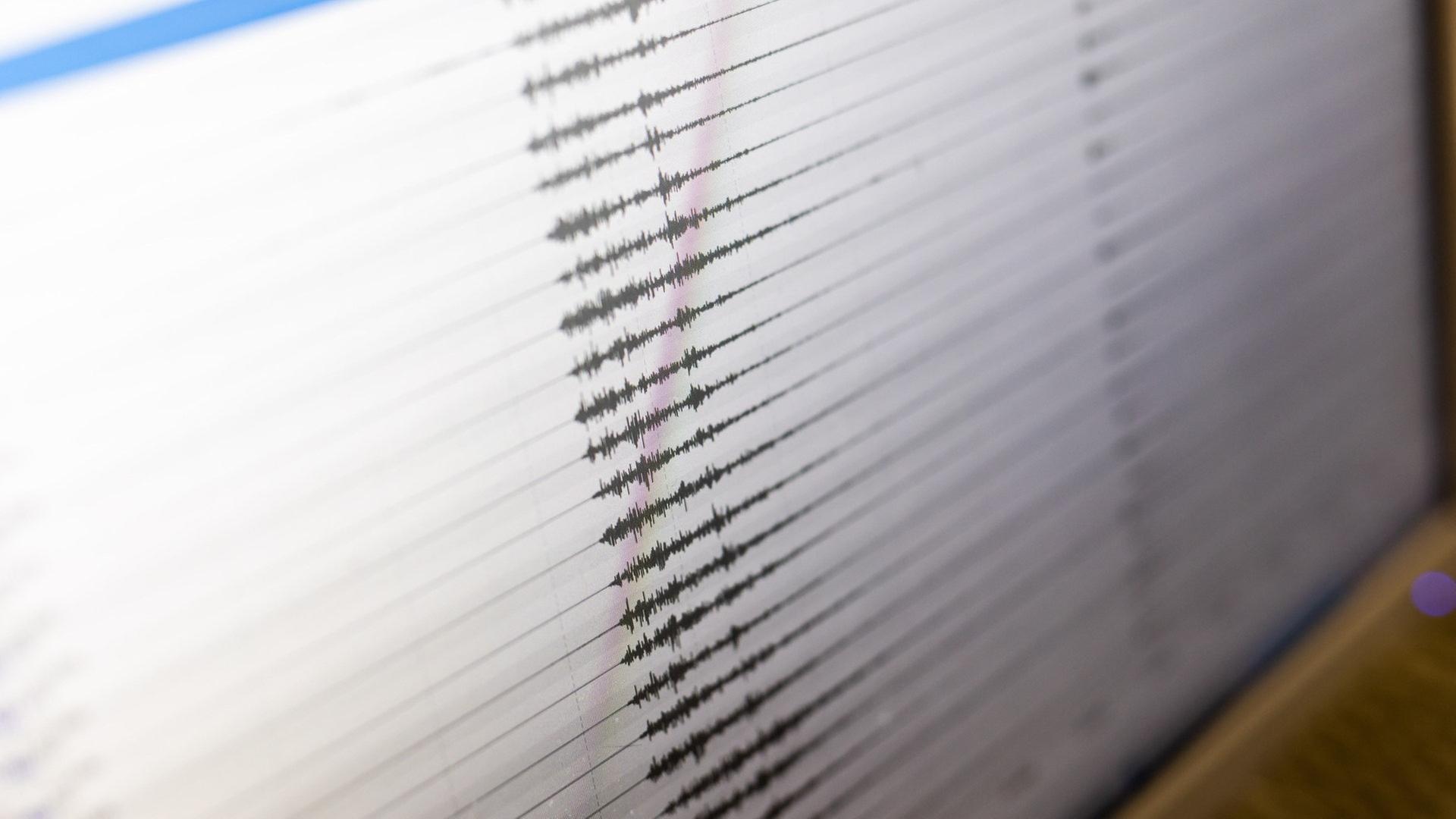 Ein Seismograph zeigt Erdbeben-Ausschläge. (Archivfoto) | dpa Bildfunk, picture alliance/dpa | Philipp von Ditfurth
