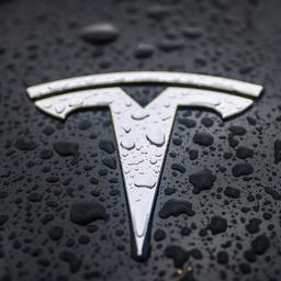 Tesla-Logo auf einem Fahrzeug.