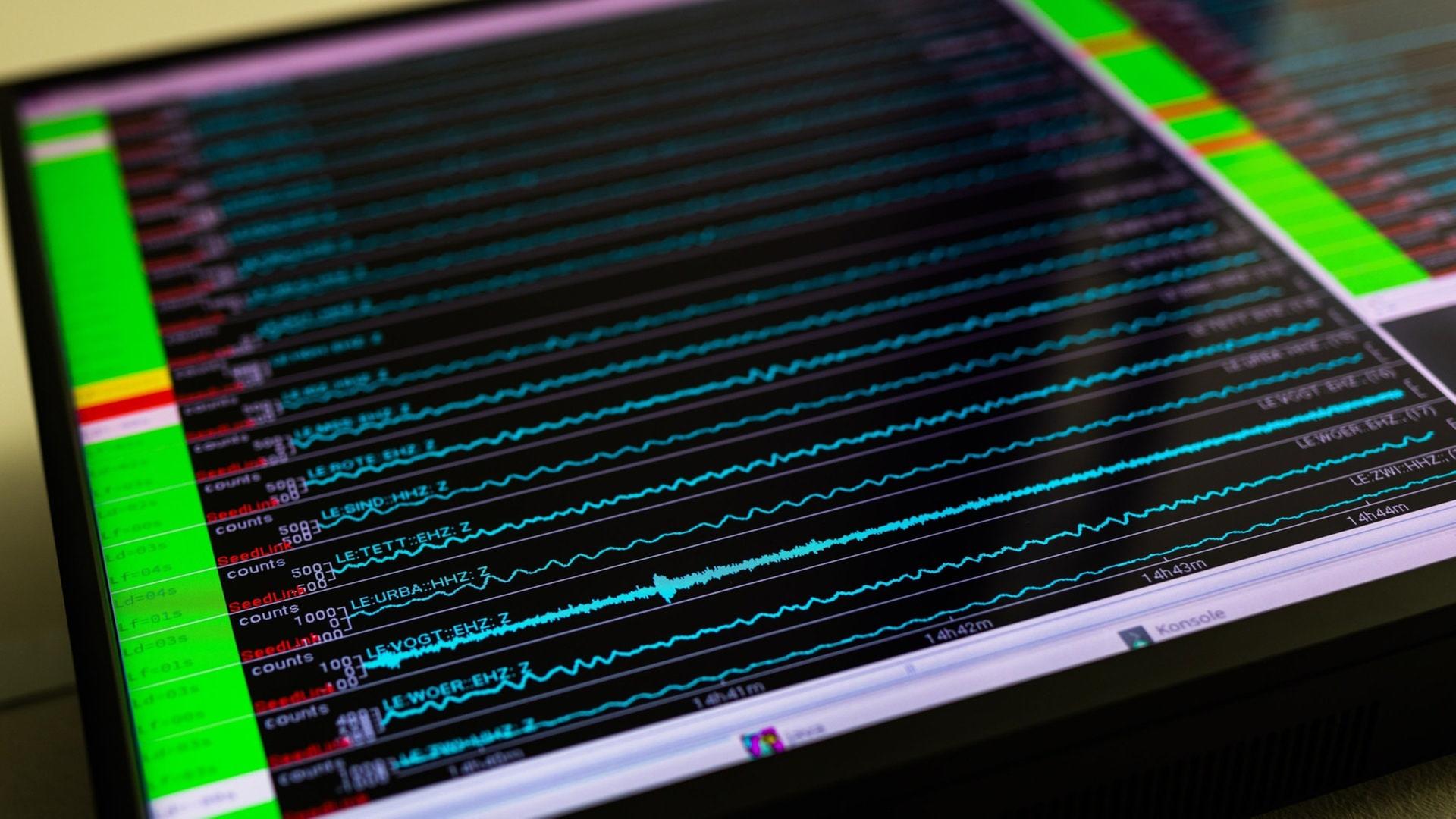 Ein Monitor zeigt die AusschlÃ¤ge im Erdbeben-Messnetz des Landeserdbebendienstes an. | dpa Bildfunk, picture alliance/dpa | Philipp von Ditfurth