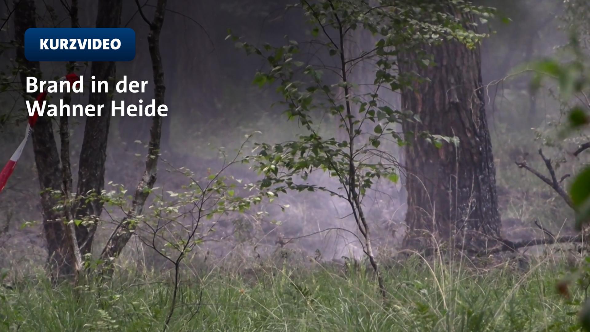 Wanderwege in Wahner Heide wieder offen