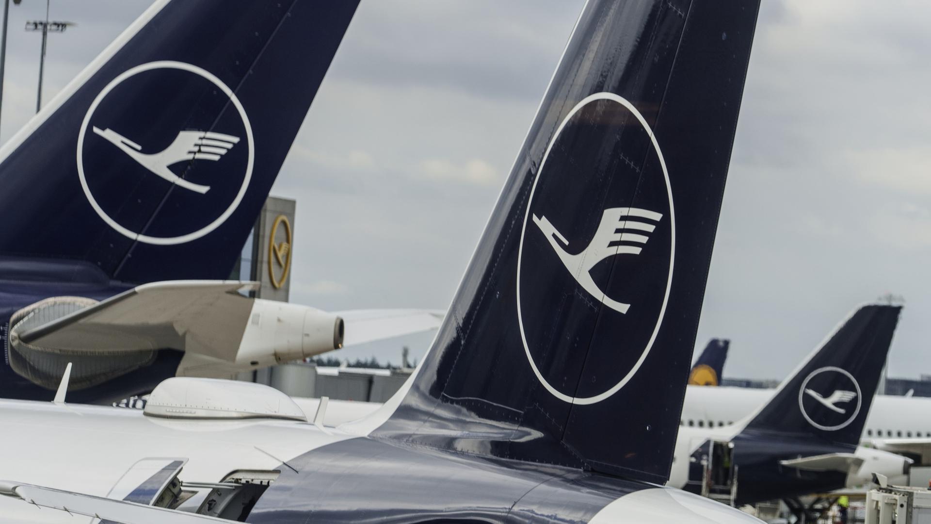 Lufthansa-Maschinen stehen auf dem Vorfeld des Flughafens Rhein-Main | dpa