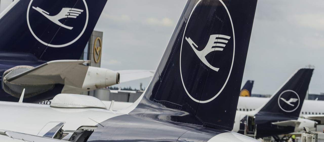 Lufthansa-Maschinen stehen auf dem Vorfeld des Flughafens Rhein-Main