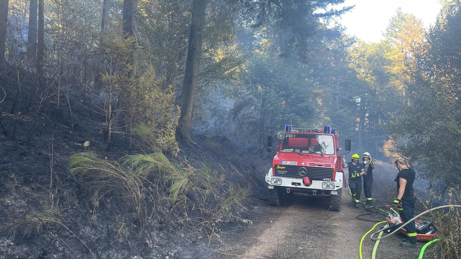 Nach Waldbrand in Springiersbach: Feuerwehr löscht Glutnester