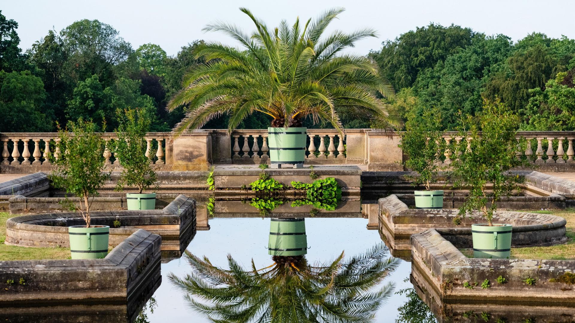 Eine Palme spiegelt sich auf der WasseroberflÃ¤che eines Brunnens in der Parkanlage des Orangerieschlosses in Potsdam. | Georg-Friedrich Moritz/dpa