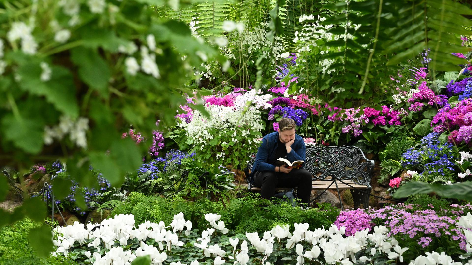 Ein Mann liest inmitten von Blumen im Wintergarten der Fitzroy Gardens in Melbourne (Australien) ein Buch. | EPA