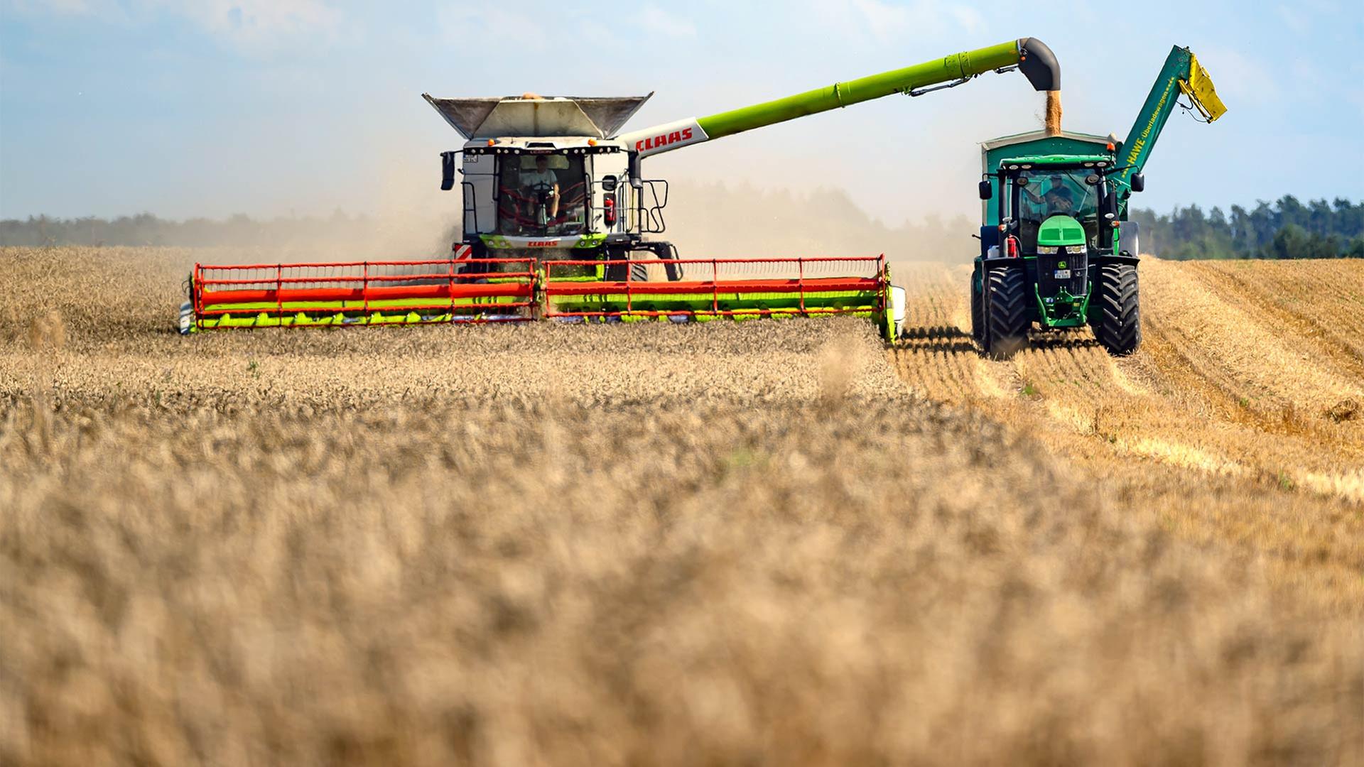 Getreideernte in Brandenburg. | picture alliance/dpa
