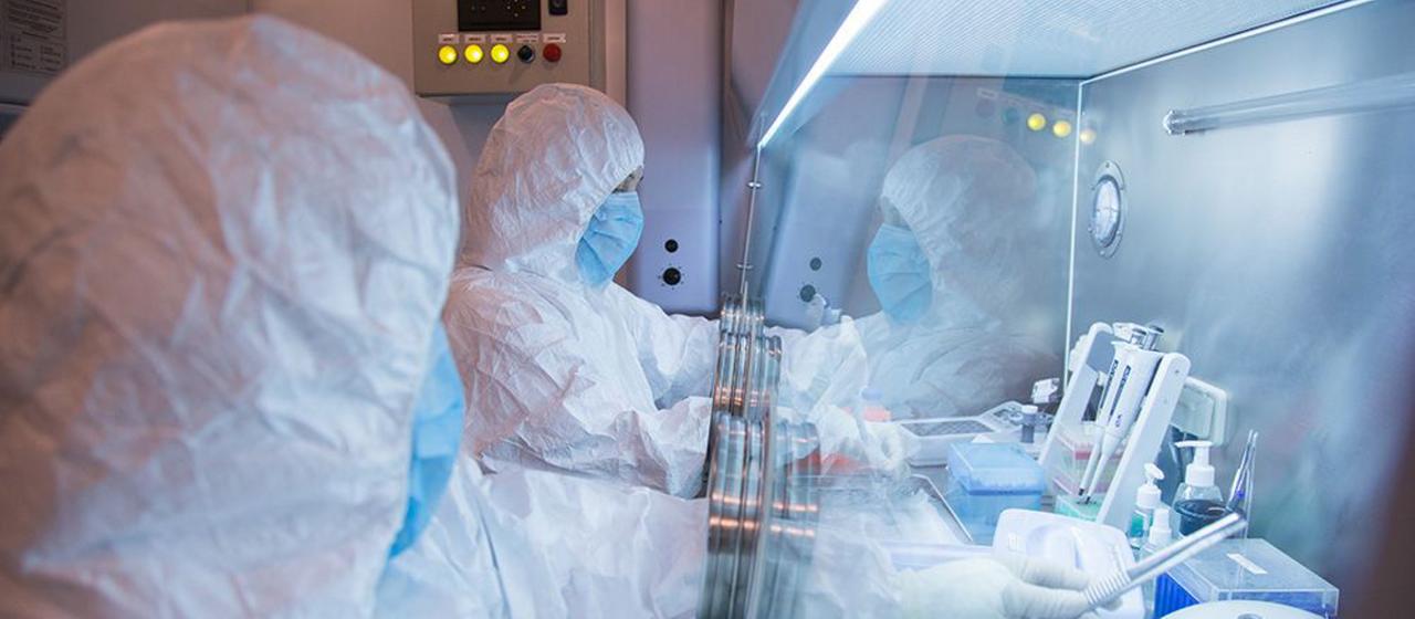 Mitarbeiter des Forschungsinstituts für Pestbekämpfung in Irkutsk für Sibirien und den Fernen Osten arbeiten in einem Labor.