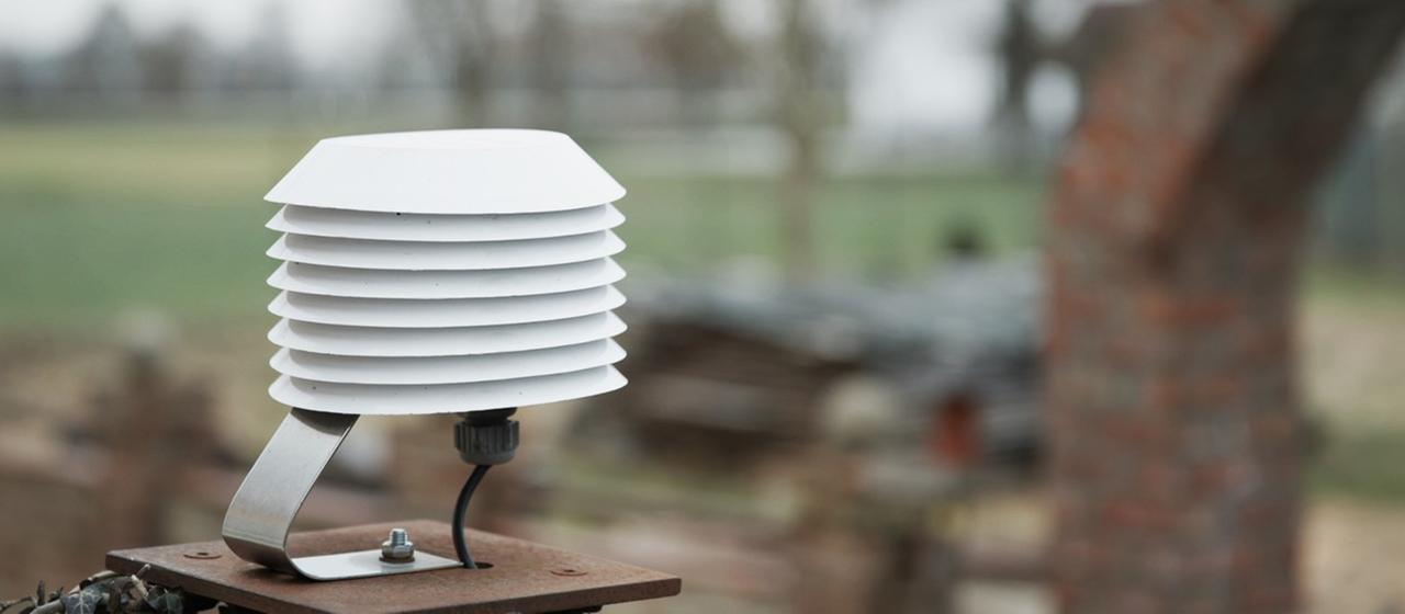 Eine künstliche Nase steht in einem Garten.