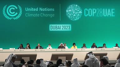 UN-Klimakonferenz in Dubai