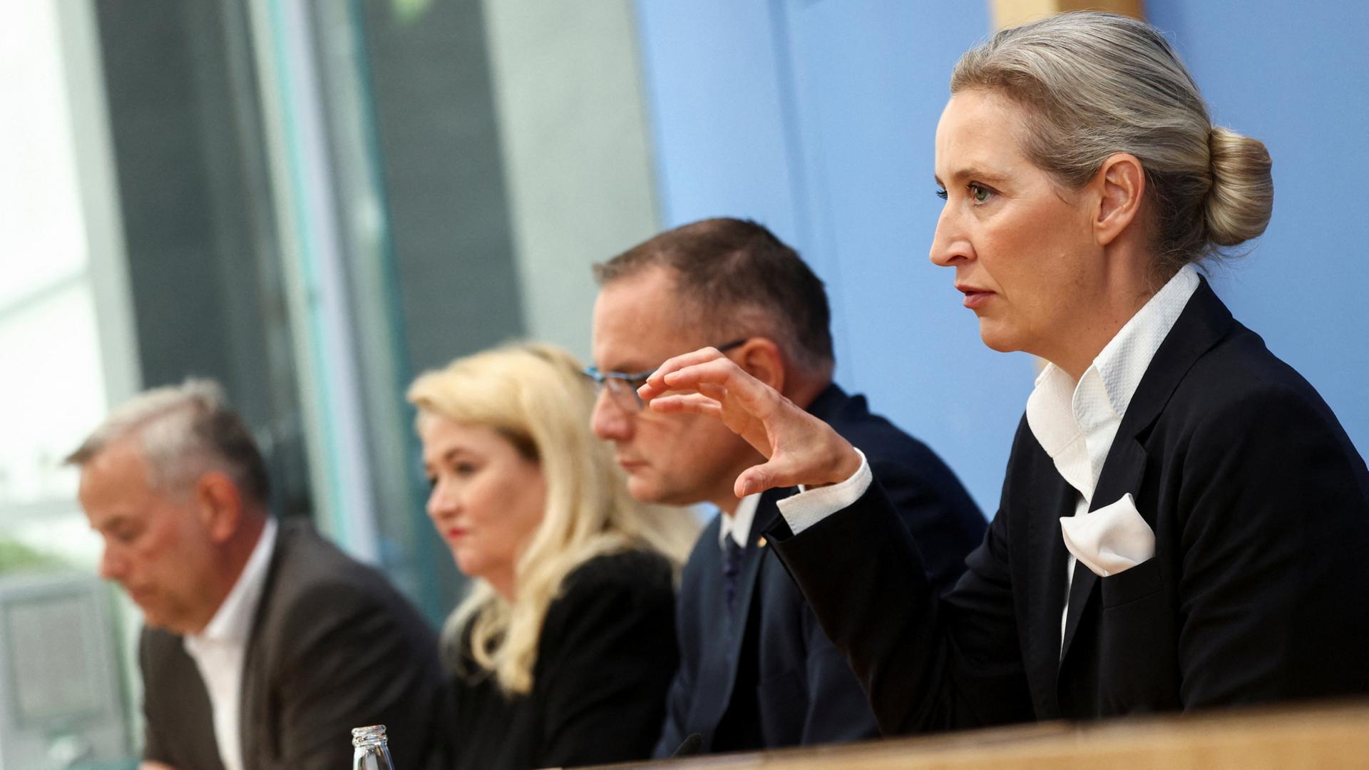 Leif-Erik Holm, Kristin Brinker, Tino Chrupalla und Alice Weidel | REUTERS