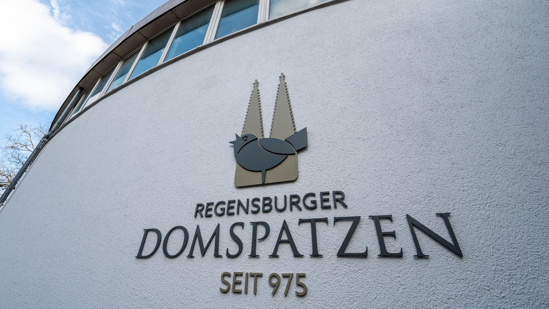 Das Logo der Regensburger Domspatzen | Armin Weigel/dpa